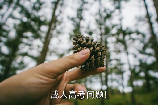 嘉定 大學(xué) 專升本報(bào)名,國(guó)家開放大學(xué)專升本什么時(shí)候報(bào)名