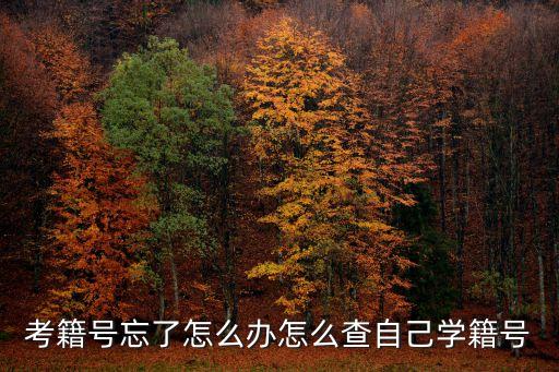 考籍號(hào)忘了怎么辦怎么查自己學(xué)籍號(hào)