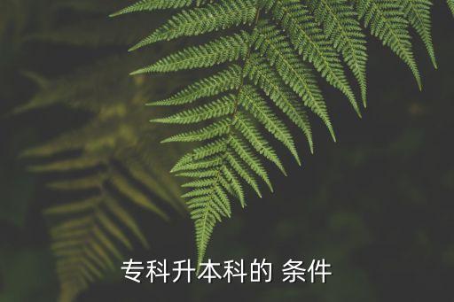 ?？粕究频?條件