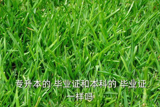  專(zhuān)升本的 畢業(yè)證和本科的 畢業(yè)證一樣嗎