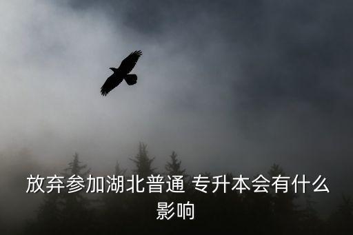 放棄專(zhuān)升本考試聲明,自愿放棄專(zhuān)升本考試申請(qǐng)書(shū)