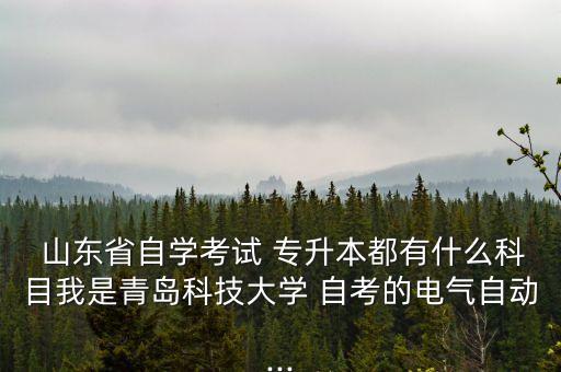  山東省自學(xué)考試 專升本都有什么科目我是青島科技大學(xué) 自考的電氣自動...