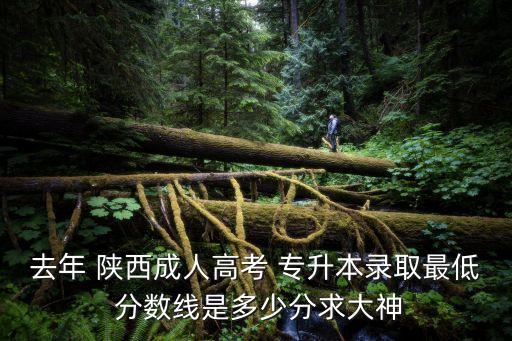 去年 陜西成人高考 專升本錄取最低 分數(shù)線是多少分求大神