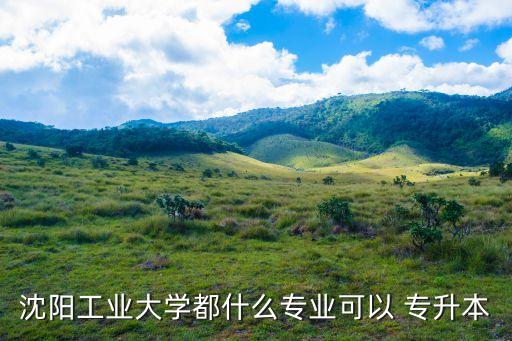 沈陽工業(yè)大學都什么專業(yè)可以 專升本