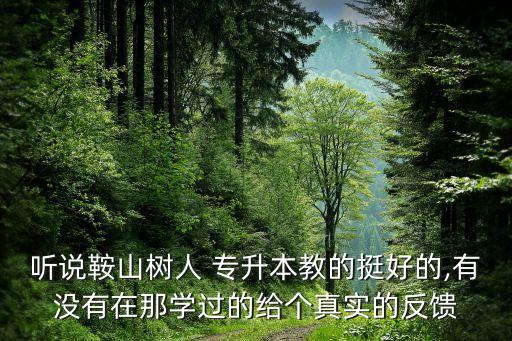 聽說鞍山樹人 專升本教的挺好的,有沒有在那學(xué)過的給個真實的反饋