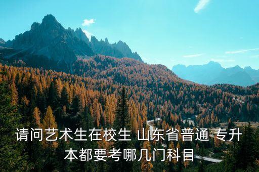 山東省美術(shù)類(lèi)專(zhuān)升本,福建美術(shù)類(lèi)專(zhuān)升本