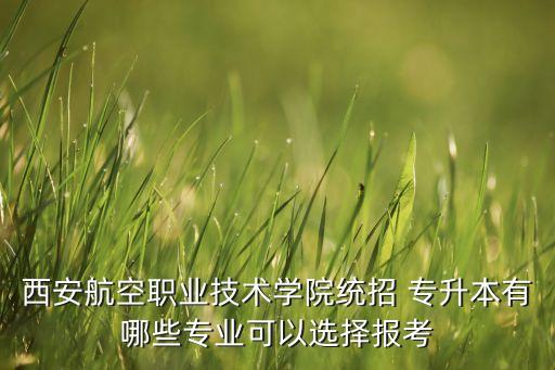 陜西物流管理專升本那個學校招,山東物流管理專升本可以報考哪些學校