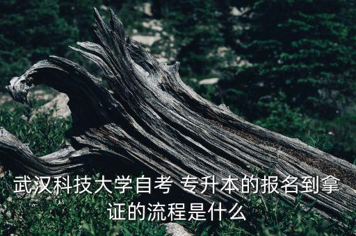 武漢科技大學(xué)自考 專升本的報(bào)名到拿證的流程是什么