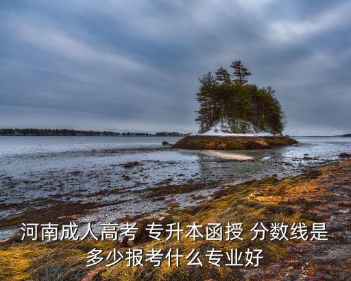 河南成人高考 專升本函授 分數線是多少報考什么專業(yè)好