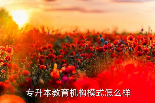  專升本教育機構模式怎么樣