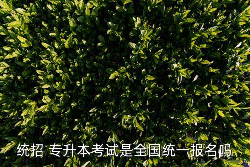 統(tǒng)招 專升本考試是全國統(tǒng)一報名嗎