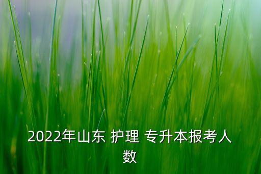 2022年山東 護(hù)理 專升本報(bào)考人數(shù)