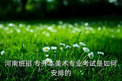 河南統(tǒng)招 專升本美術(shù)專業(yè)考試是如何安排的