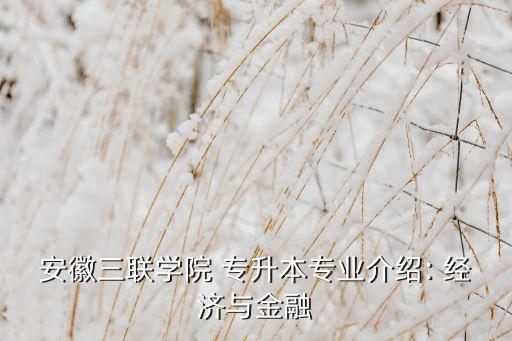 安徽三聯(lián)學院 專升本專業(yè)介紹: 經(jīng)濟與金融