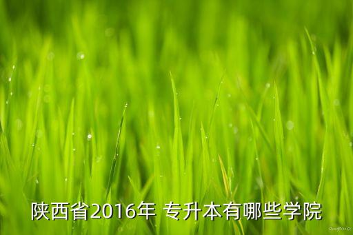 西安網(wǎng)絡(luò)專升本的學(xué)校,西安職業(yè)技術(shù)學(xué)院專升本對(duì)口學(xué)校