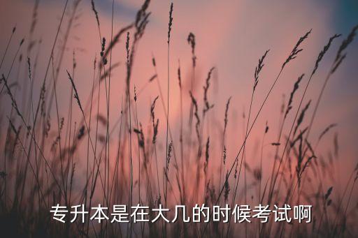  專升本是在大幾的時(shí)候考試啊
