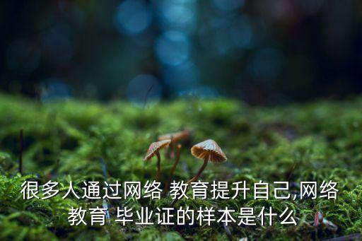 遠程教育 專升本 畢業(yè)證樣式