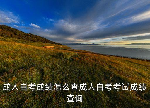 成人自考成績(jī)?cè)趺床槌扇俗钥伎荚嚦煽?jī)查詢