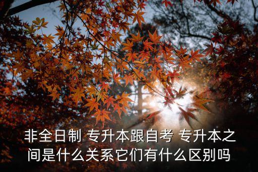  非全日制 專升本跟自考 專升本之間是什么關系它們有什么區(qū)別嗎