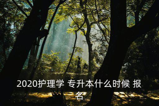 2020護理學(xué) 專升本什么時候 報名