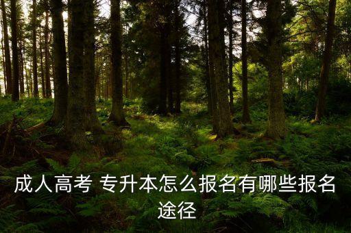 成人高考 專(zhuān)升本怎么報(bào)名有哪些報(bào)名 途徑