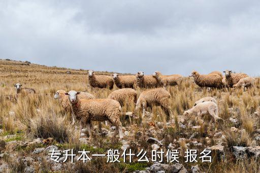 專(zhuān)升本一般什么時(shí)候 報(bào)名
