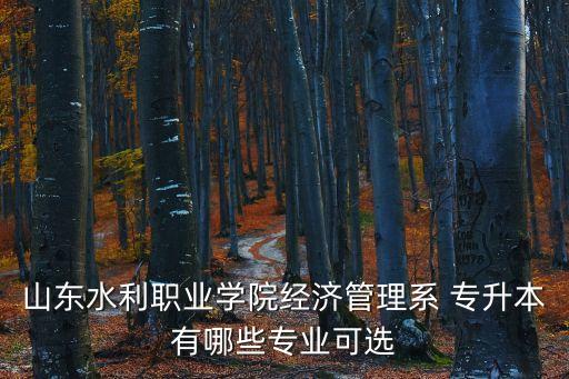 山東水利職業(yè)學(xué)院經(jīng)濟(jì)管理系 專升本有哪些專業(yè)可選