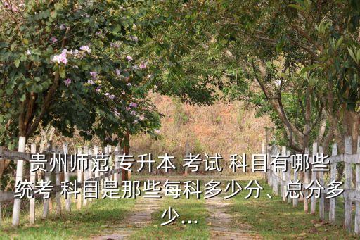 貴州師范 專升本 考試 科目有哪些統(tǒng)考 科目是那些每科多少分、總分多少...