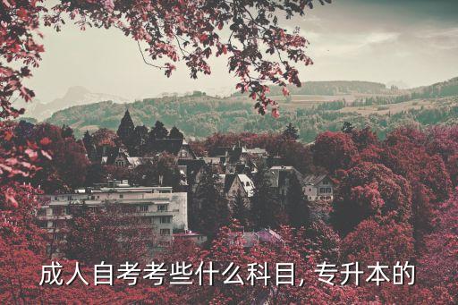法學專升本考試大綱,湖北警官學院法學專升本考試大綱