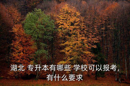 湖北 專升本有哪些 學?？梢詧罂?有什么要求