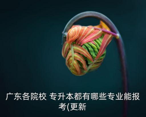廣東各院校 專升本都有哪些專業(yè)能報考(更新
