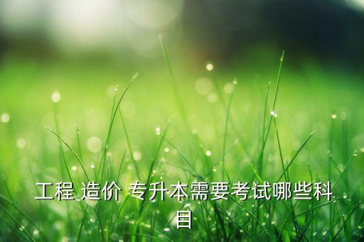 工程造價有專升本么,河南工程造價專升本有哪些學校