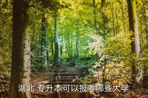 湖北省適合專升本的公立的學校有哪些