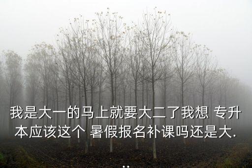 專升本沒有暑假,精英專升本暑假集訓(xùn)時(shí)間
