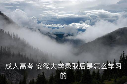 成人高考 安徽大學錄取后是怎么學習的