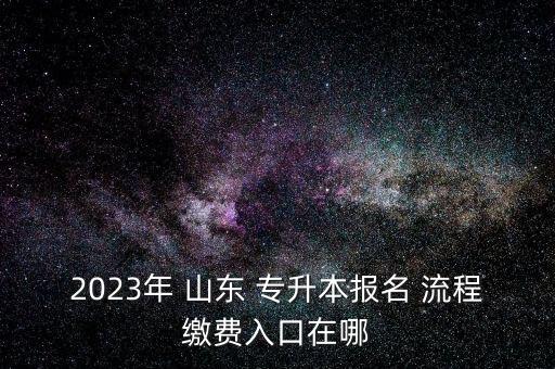 2023年 山東 專升本報名 流程繳費入口在哪