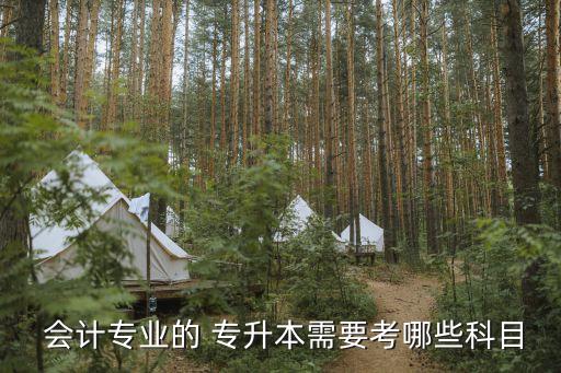  會計(jì)專業(yè)的 專升本需要考哪些科目