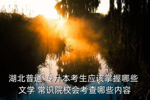 湖北普通 專升本考生應(yīng)該掌握哪些 文學(xué) 常識院校會考查哪些內(nèi)容