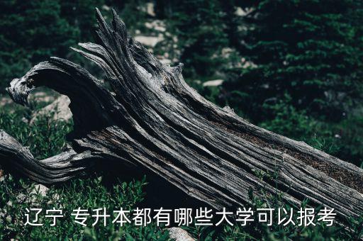 遼寧 專升本都有哪些大學(xué)可以報(bào)考