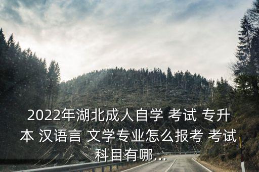 2022年湖北成人自學(xué) 考試 專升本 漢語言 文學(xué)專業(yè)怎么報(bào)考 考試 科目有哪...
