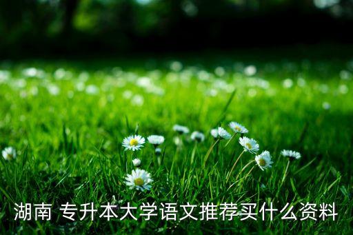 湖南 專升本大學(xué)語(yǔ)文推薦買什么資料