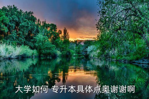  大學如何 專升本具體點奧謝謝啊