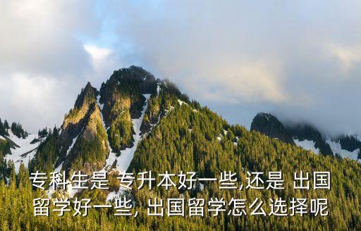 ?？粕?專升本好一些,還是 出國留學(xué)好一些, 出國留學(xué)怎么選擇呢