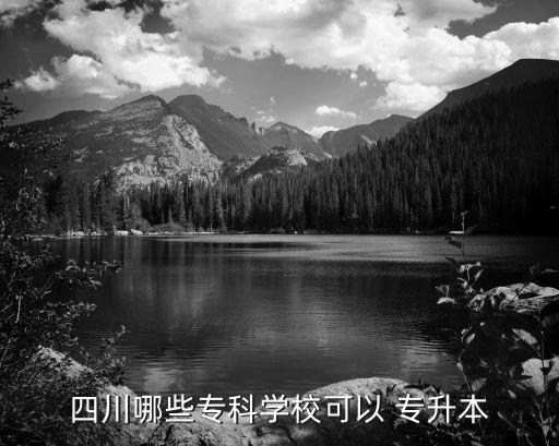 成都職業(yè)技術(shù)學(xué)院是否可專升本
