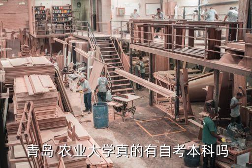2018年青島農(nóng)業(yè)大學(xué)專升本,青島農(nóng)業(yè)大學(xué)海都學(xué)院專升本分?jǐn)?shù)線