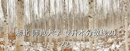 湖北師范大學專升本吧