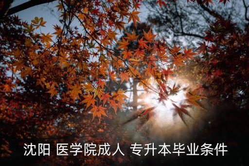 沈陽(yáng)醫(yī)學(xué)院有專升本嗎