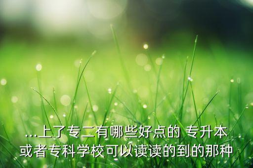 ...上了專二有哪些好點的 專升本或者?？茖W(xué)?？梢宰x讀的到的那種