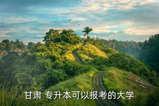 甘肅 專升本可以報考的大學