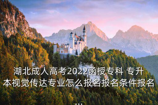 湖北成人高考2022函授專科 專升本視覺傳達(dá)專業(yè)怎么報(bào)名報(bào)名條件報(bào)名...
